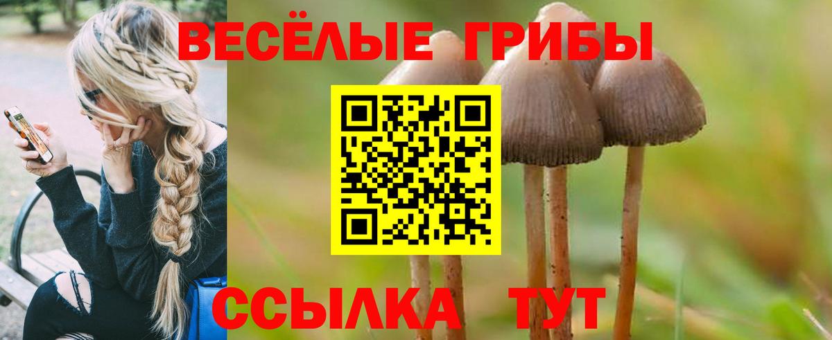 Псилоцибиновые грибы мухоморы  Псилоцибиновые грибы Psilocybe  где купить наркоту  Вход с VPN  Углич 